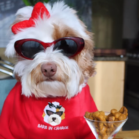 State Fair Pumpkin Bones